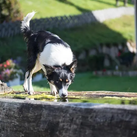 Ganzenhubhof Goldegg