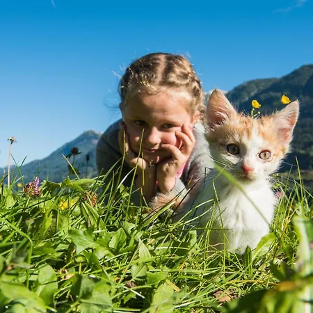 Penzion Ganzenhubhof Goldegg