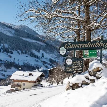 Penzion Ganzenhubhof Goldegg