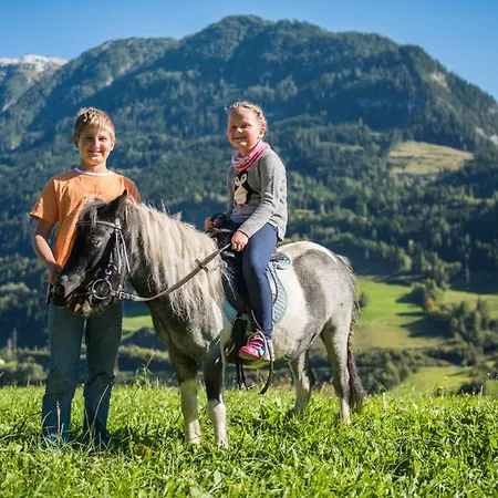 Ganzenhubhof Penzion 3*