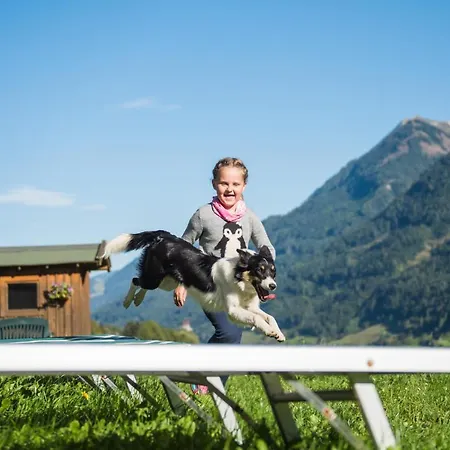 Casa de hóspedes Ganzenhubhof Goldegg im Pongau