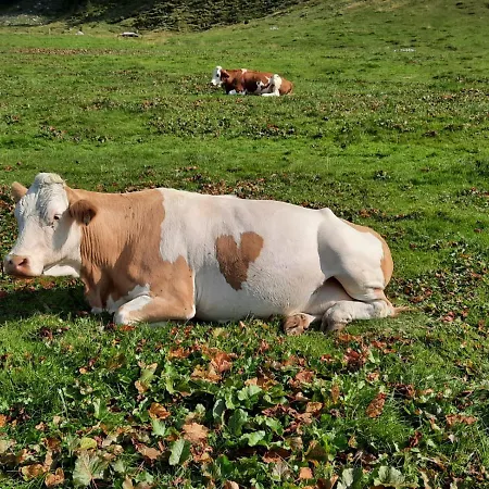 Ganzenhubhof Penzion 3*