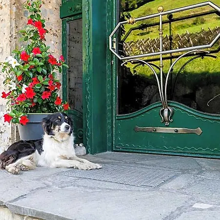 Ganzenhubhof Πανσιόν