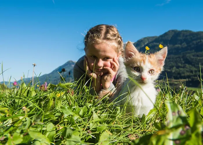 Guest house Ganzenhubhof Goldegg