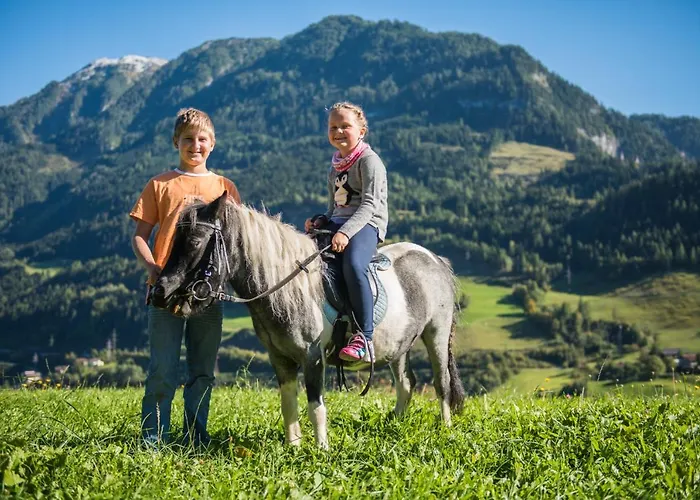 Ganzenhubhof Pensjonat 3*