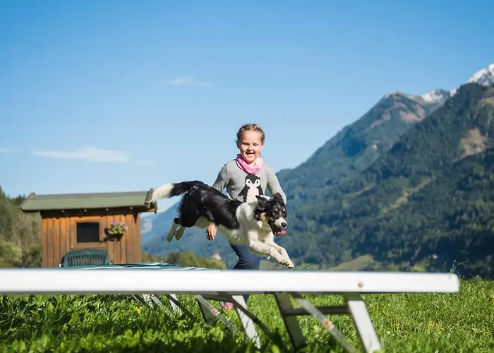 Pensión Ganzenhubhof Goldegg