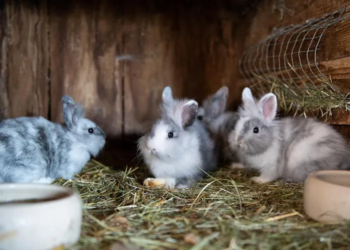 Ganzenhubhof 3* Goldegg