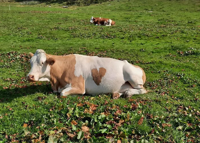 Ganzenhubhof Pensjonat 3*